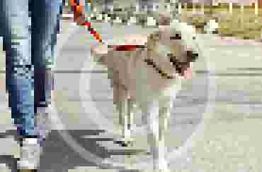 typ_img_1