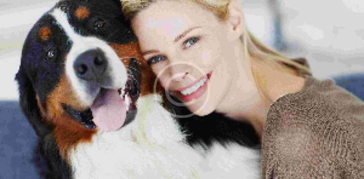10 Tips To Find a Great Dog Walker
