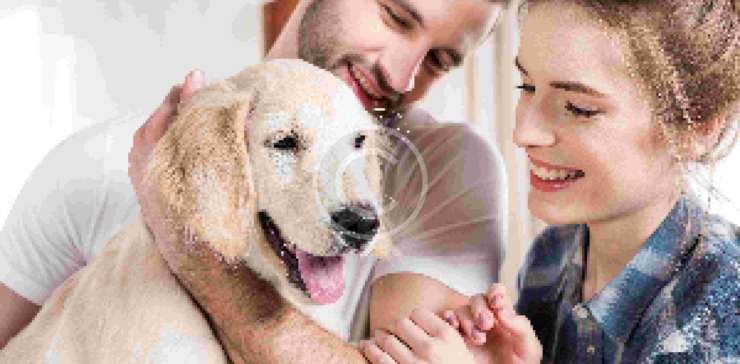 Foods to Avoid Feeding your Pet