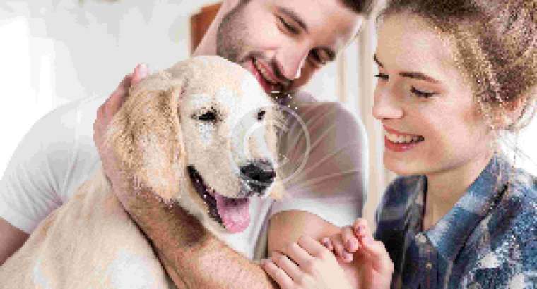 Find Perfect Executor