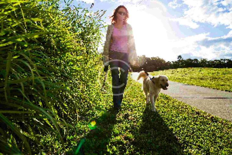 First Dog Walking Pics Of 2017