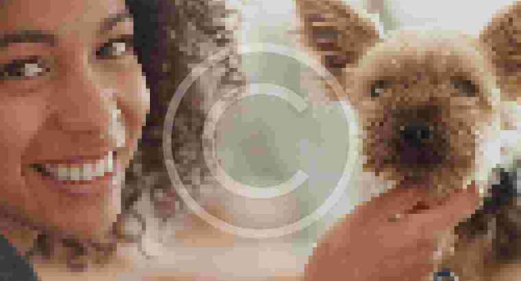 Puppy Program