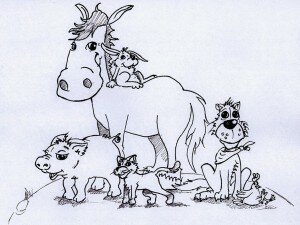 Animali